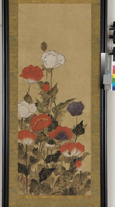Poppies by Unknown artist