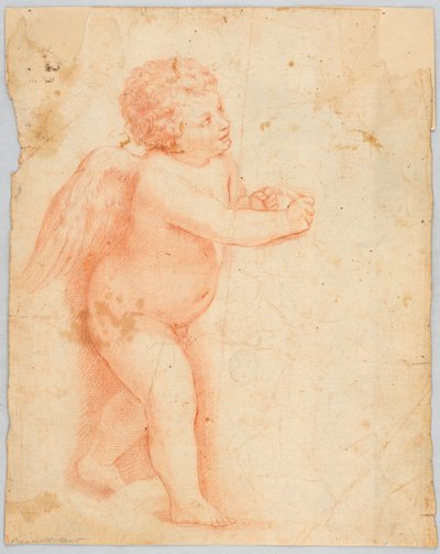 Putto Making a Knot by Unknown artist