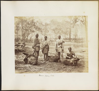 Skinners Preparing to Skin by Unknown artist