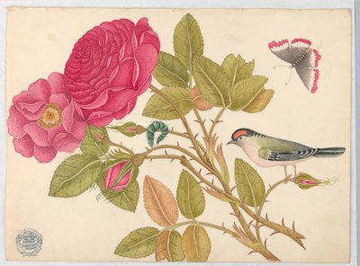 Small Red-Headed Bird on Rose Branch by Unknown artist