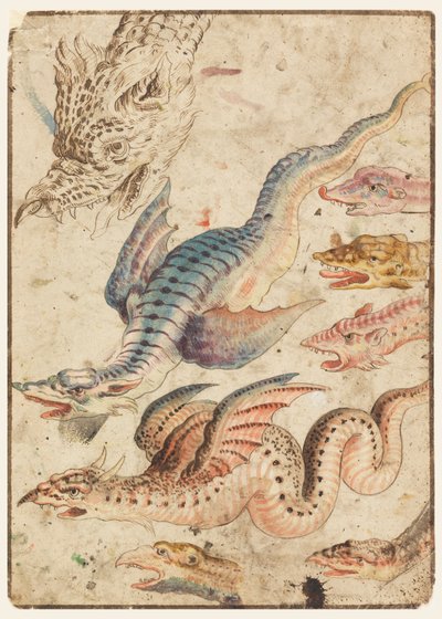 Studies of a Dragon by Unknown artist