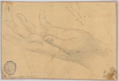 Study: A Left Hand by Unknown artist