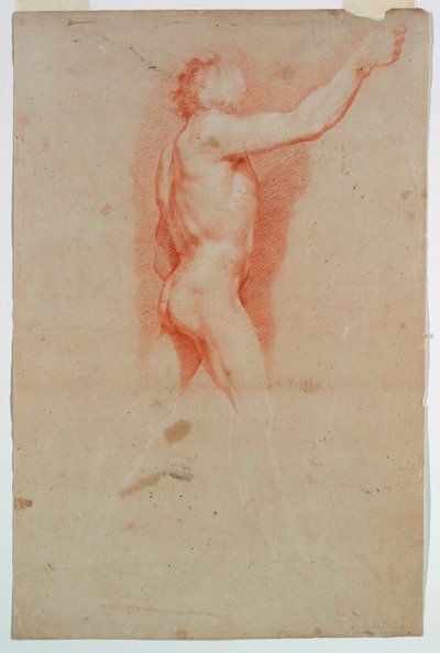 Study: A Nude by Unknown artist