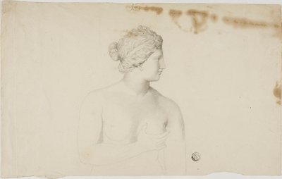 Study of the Medici Venus by Unknown artist
