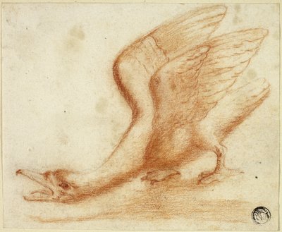 Swan by Unknown artist