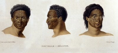 Tattoos by a native of New Zealand. by Unknown artist