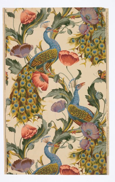 The Peacock by Unknown artist