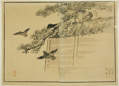 Three Kinds of Birds by a Wall by Unknown artist