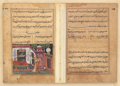 Tuti-Nama (Tales of a Parrot) by Unknown artist