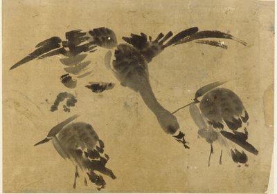 Two Herons and a Goose by Unknown artist