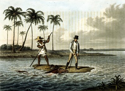 Unknown Image by Unknown artist