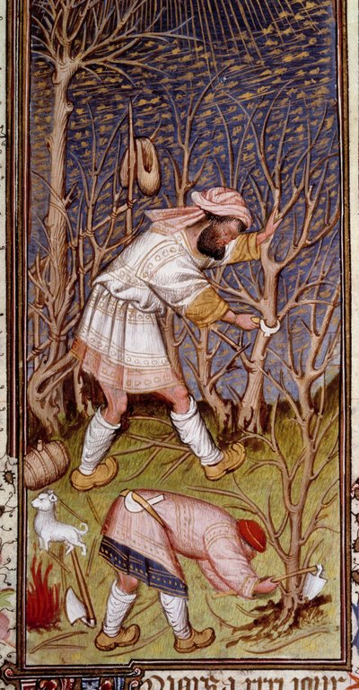 Unknown Image by Unknown artist