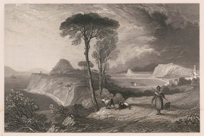 View on Indian Coast by Unknown artist