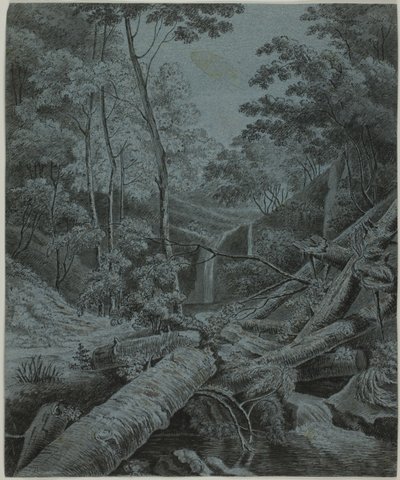 Waterfall and Fallen Logs in Forest by Unknown artist