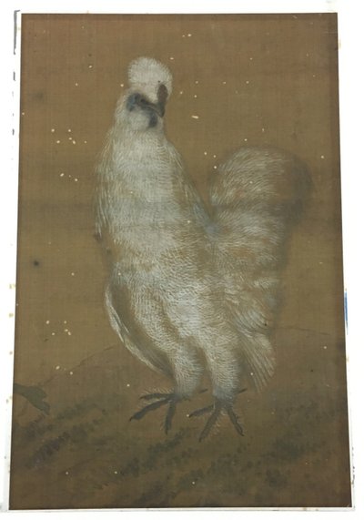 White Rooster by Unknown artist