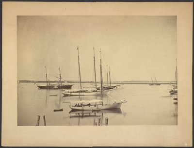 Yachts in Harbor by Unknown artist