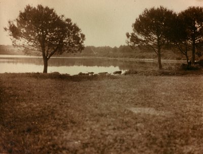 Landscape in the Brijuni Islands by Unknown photographer