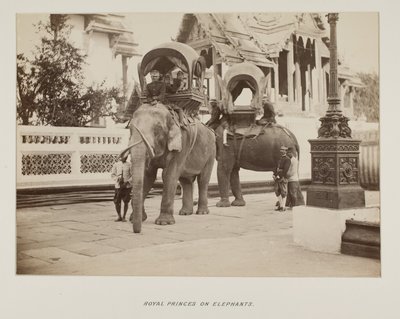 Photograph in photograph album by Unknown photographer