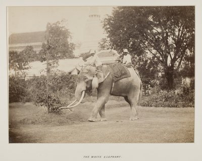 Photograph in photograph album by Unknown photographer