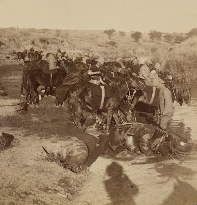 Watering Artillery horses, Welgelegen, South Africa by Unknown photographer