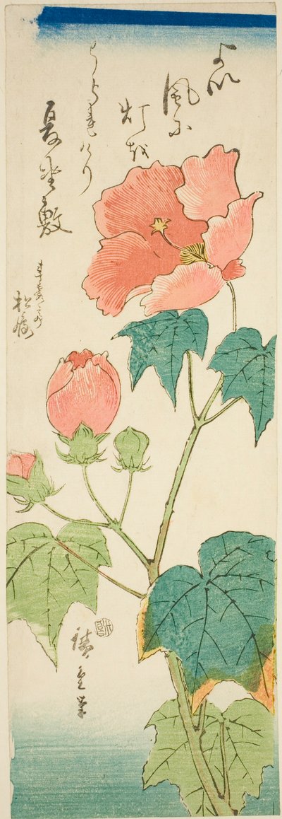 Hibiscus by Utagawa Hiroshige