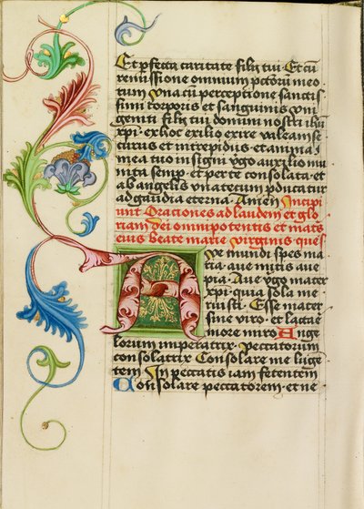 Decorated Initial A by Valentine Noh