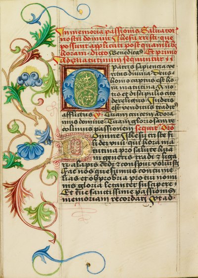 Decorated Initial O by Valentine Noh