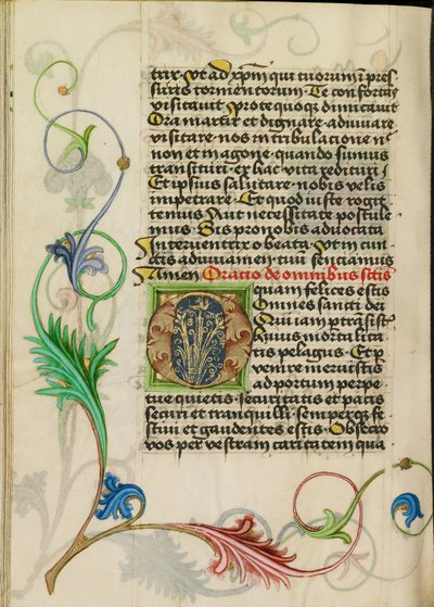 Decorated Initial O by Valentine Noh