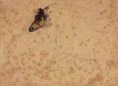 Study of Horses by Veit Stoss