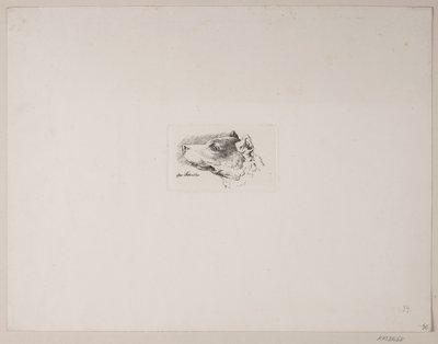 Dog Head by Vilhelm Kyhn