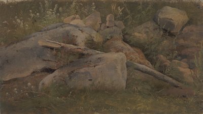 Study of a Stone Heap by Vilhelm Petersen