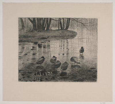 Ducks by Vilhelm Th. Fischer