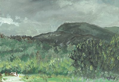 Hills at Creag Dhugh by Vincent Alexander Booth