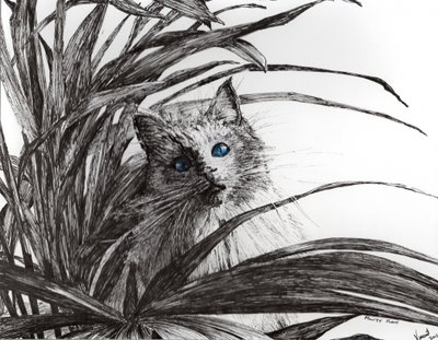 Monty Plant by Vincent Alexander Booth