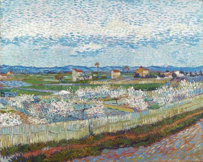 Peach Trees in Blossom, 1889 by Vincent van Gogh