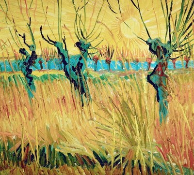 Willows at sunset by Vincent van Gogh