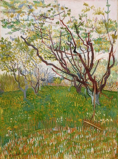 Blooming Orchard by Vincent van Gogh