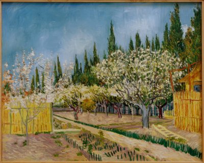 Blooming Orchard, Surrounded by Cypresses by Vincent van Gogh