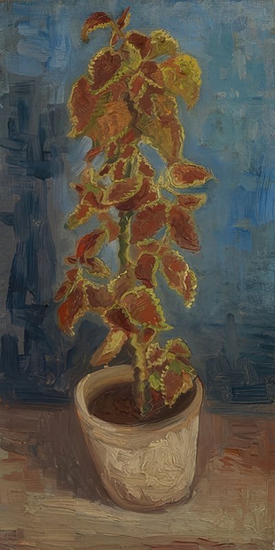 Flowerpot with Coleus by Vincent van Gogh