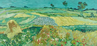 The Plain of Auvers by Vincent van Gogh