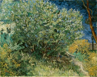 Lilac Bush by Vincent van Gogh