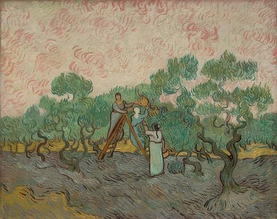 Women Harvesting Olives, 1889 by Vincent van Gogh