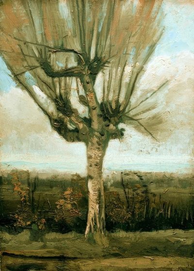 Pollard Willow by Vincent van Gogh