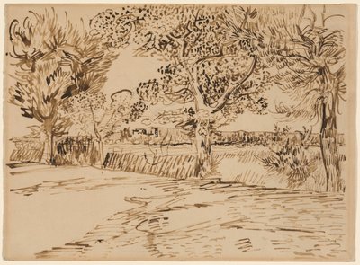 Landscape at Arles by Vincent van Gogh