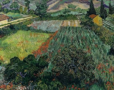 Poppy Field by Vincent van Gogh