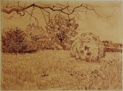 Park with Shrub by Vincent van Gogh