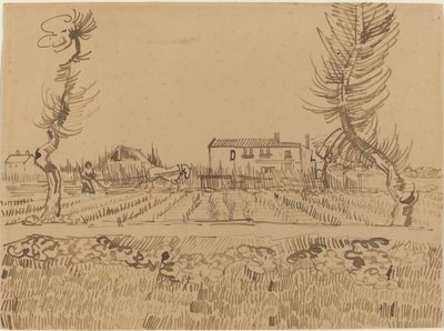 Ploughman in the Fields near Arles by Vincent van Gogh