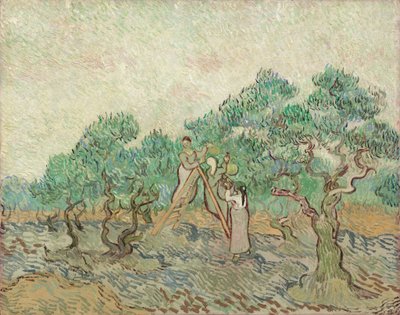 The Olive Orchard, 1889 by Vincent van Gogh
