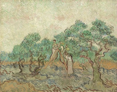 The Olive Orchard by Vincent van Gogh