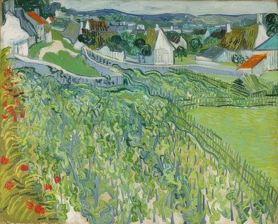 Vineyards in Auvers by Vincent van Gogh
